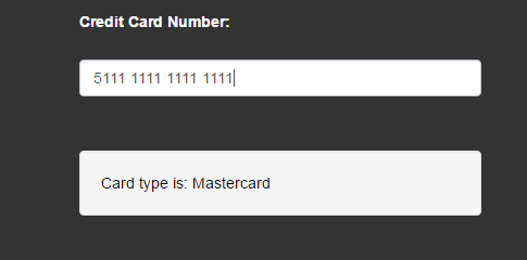 10 jQuery Credit Card Form Plugins | Learning jQuery