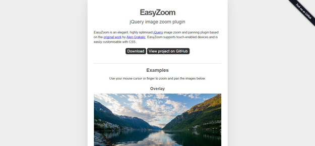 easyzoom